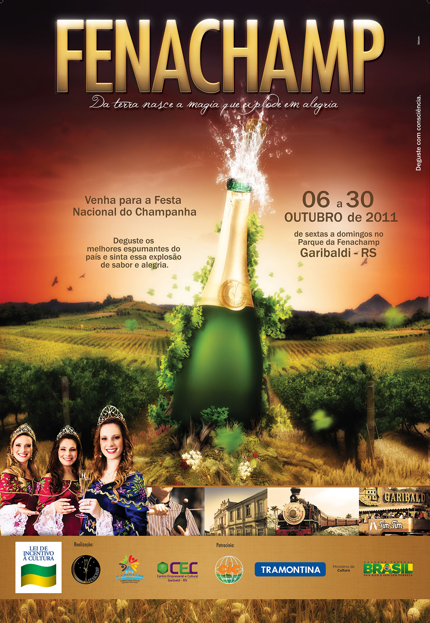 Cartaz da 12ª - Fenachamp
