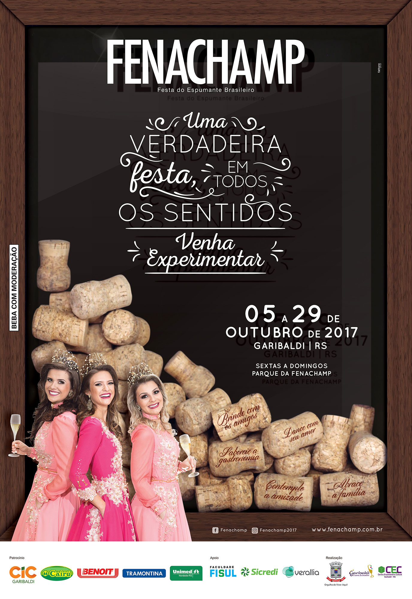 Cartaz da 15ª - Fenachamp