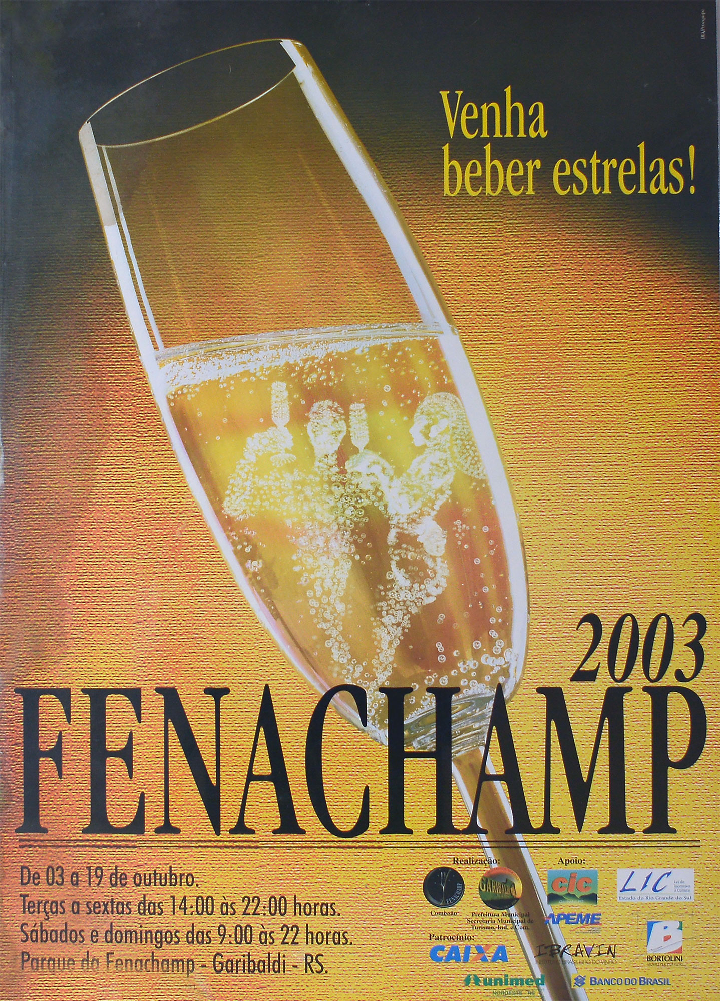 Cartaz da 8ª - Fenachamp